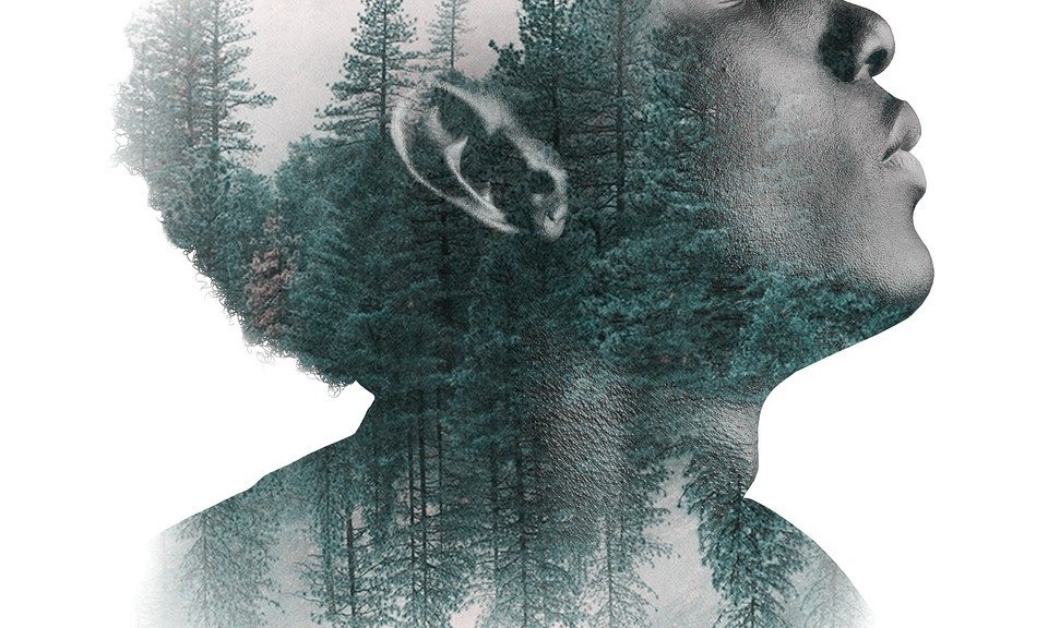 https://pixabay.com/illustrations/man-portrait-face-human-forest-4603859/