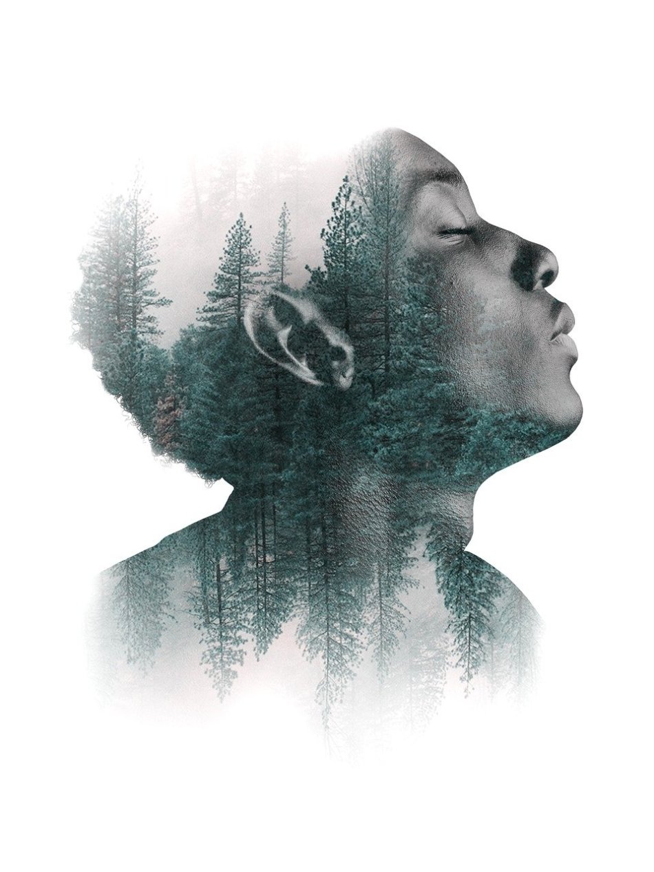 https://pixabay.com/illustrations/man-portrait-face-human-forest-4603859/